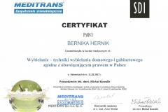 Certyfikaty_bulk_Strona_06