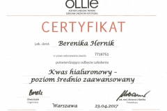 Certyfikaty_bulk_Strona_15